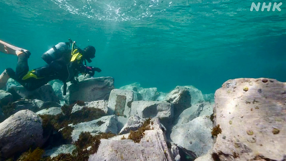 Bencana tersebut menenggelamkan seluruh jembatan.