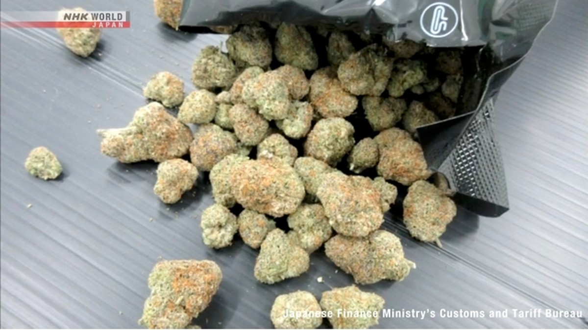 Rekor! Bea Cukai Jepang Sita Lebih dari 3 Ton Narkoba di 2025