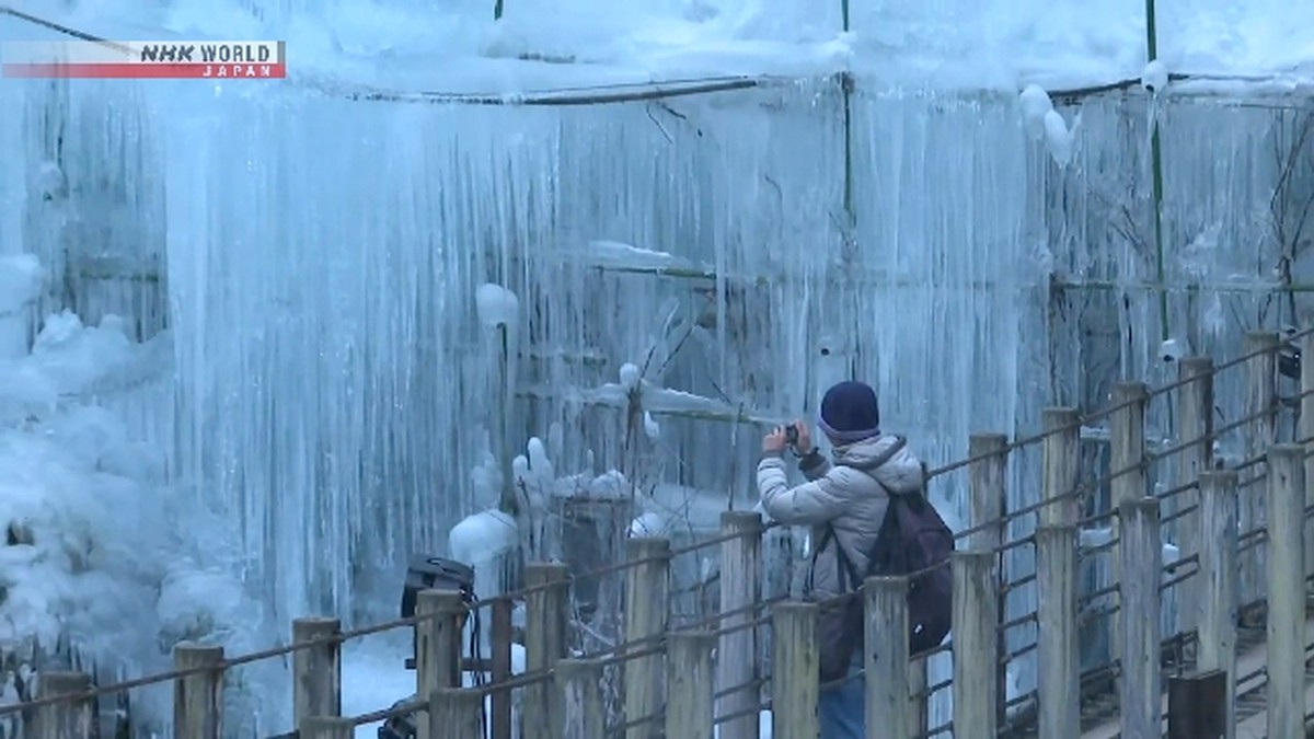 Fenomena Langka: Tiang Es Raksasa Muncul di Lembah Saitama
