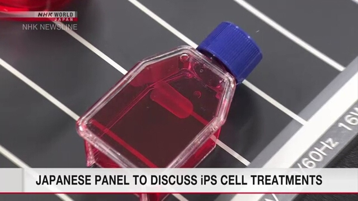 Jepang Pertimbangkan Persetujuan Perawatan Sel iPS untuk Jantung dan Parkinson