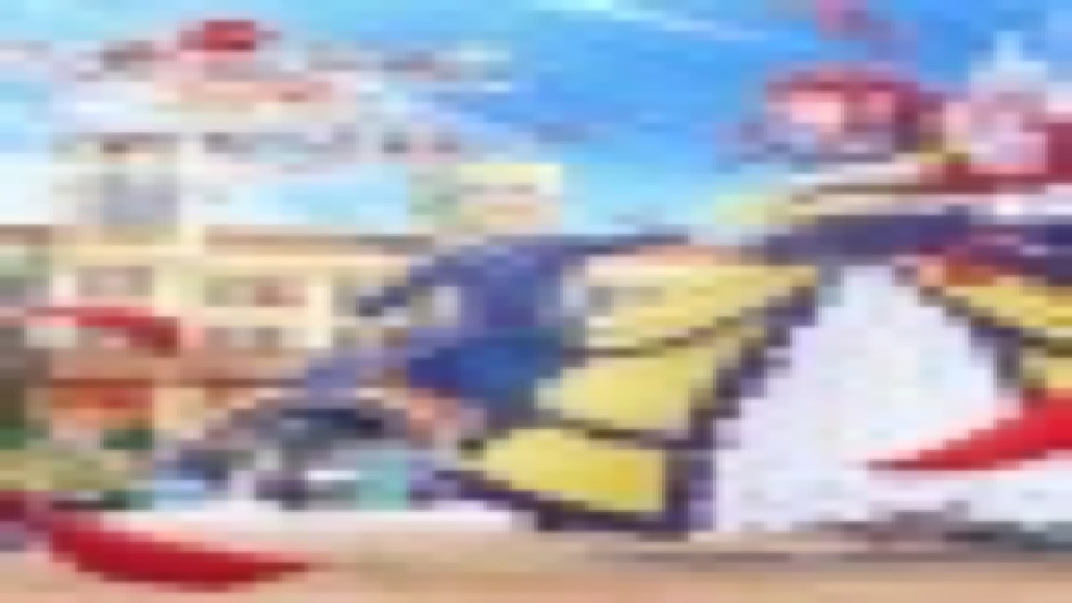 Observation Records Villainess