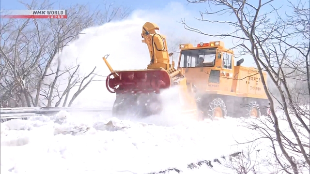 Keindahan Musim Semi Menanti! Pembersihan Salju di Jalur Wisata Zao Echo Line Resmi Dimulai