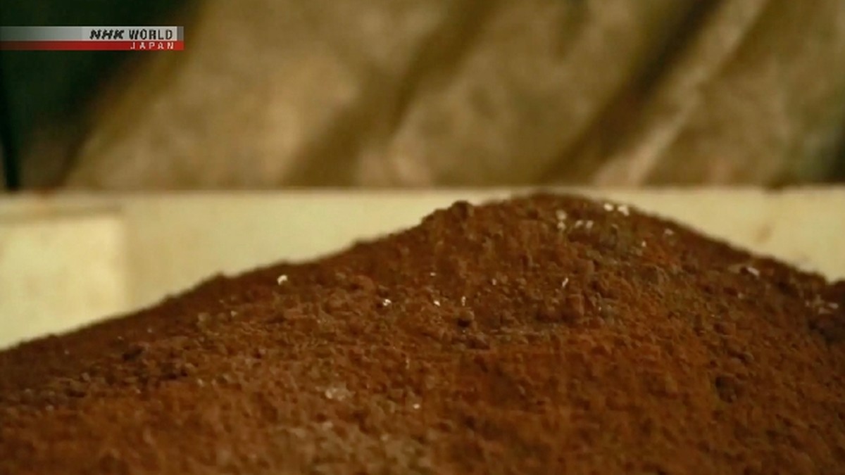 Pemerintah Jepang akan memanfaatkan dana cadangan untuk memastikan mineral kritis