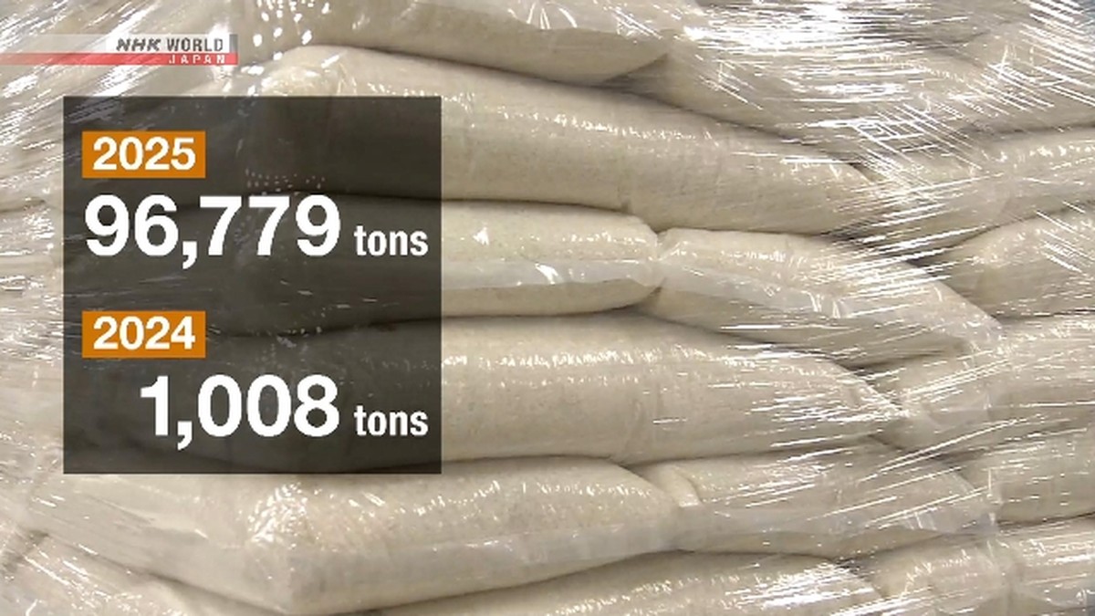 Perusahaan swasta di Jepang impor jumlah rekam sejumlah beras pada tahun 2025