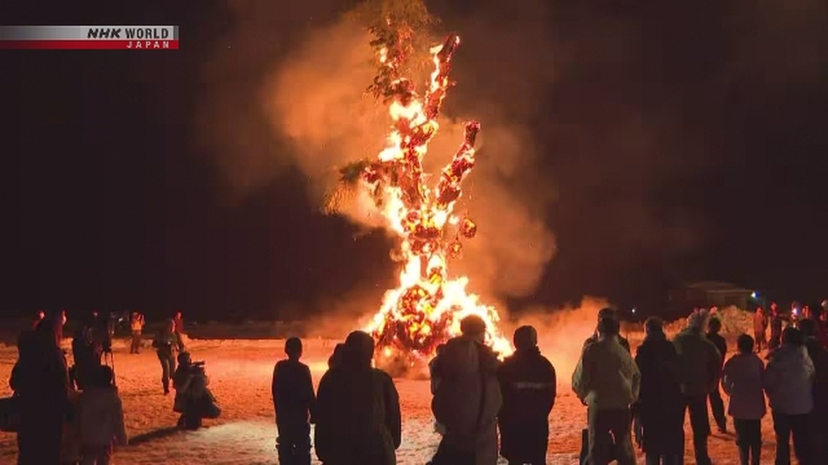 Ritual Unik Akita: Membakar Pohon Suci Demi Panen Melimpah
