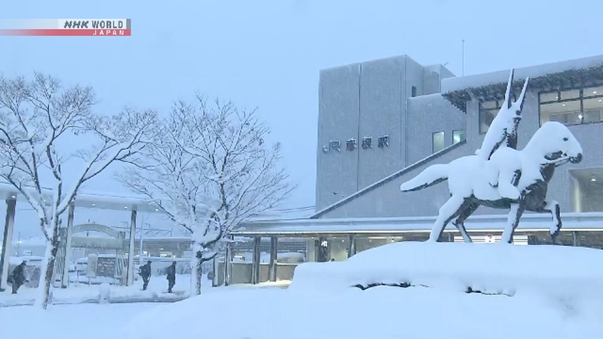 Salju Lebat Diprediksi di Jepang Utara dan Barat