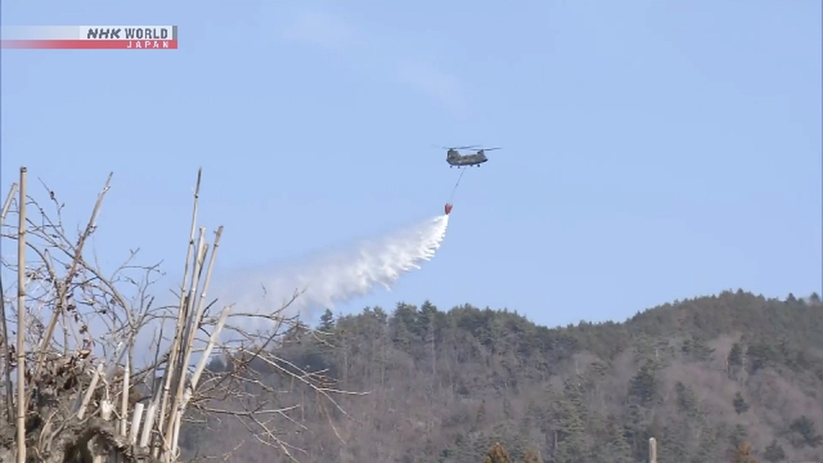 Kebakaran Hutan Dahsyat di Shizuoka: 5,5 Hektar Lahan Hangus, JSDF Turun Tangan