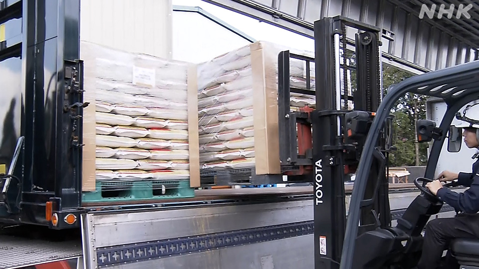 Krisis Beras Jepang: Petani Fukuoka Prioritaskan Produksi Konsumsi Domestik - visual artikel