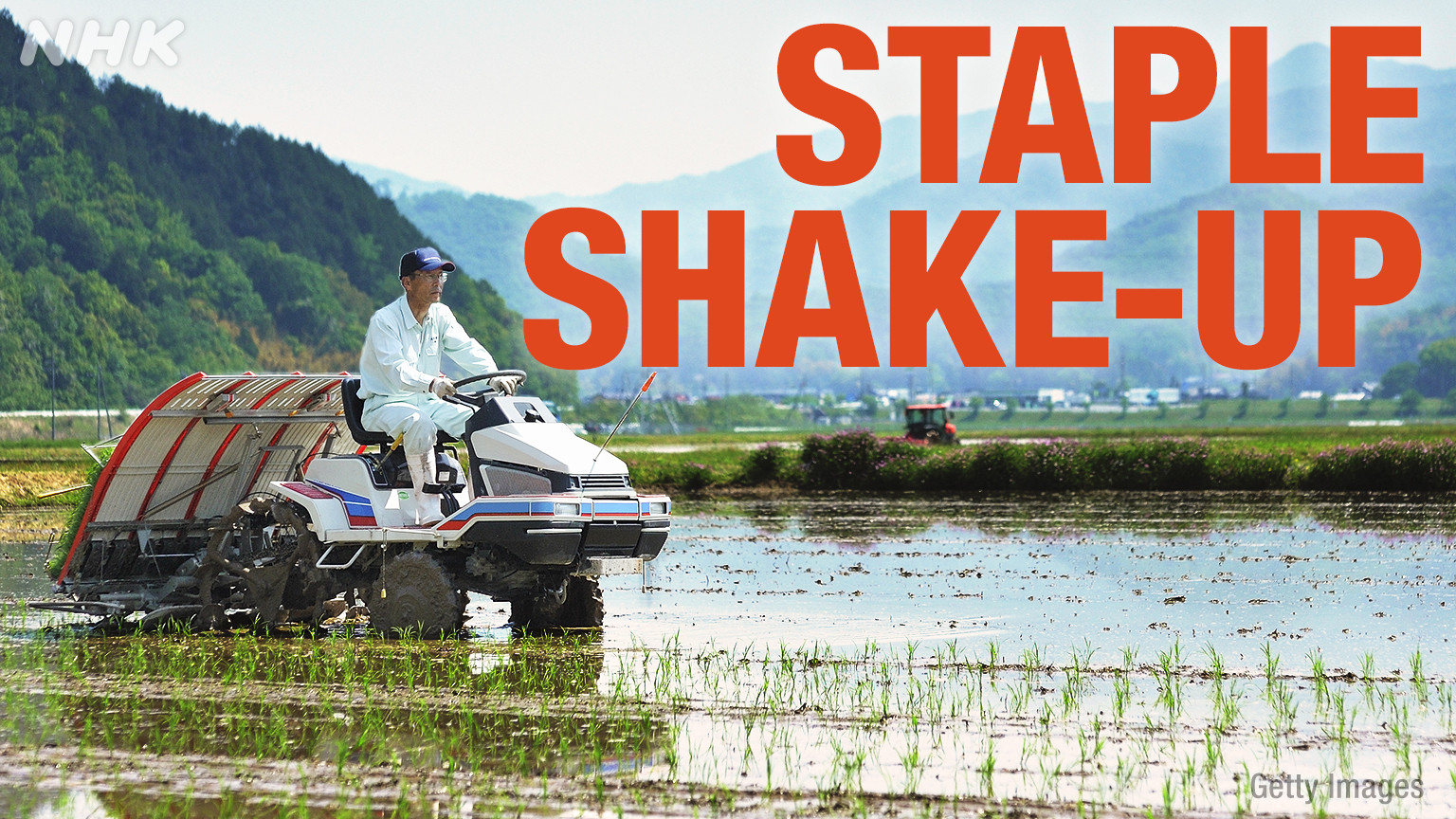 Krisis Beras Jepang: Petani Fukuoka Prioritaskan Produksi Konsumsi Domestik