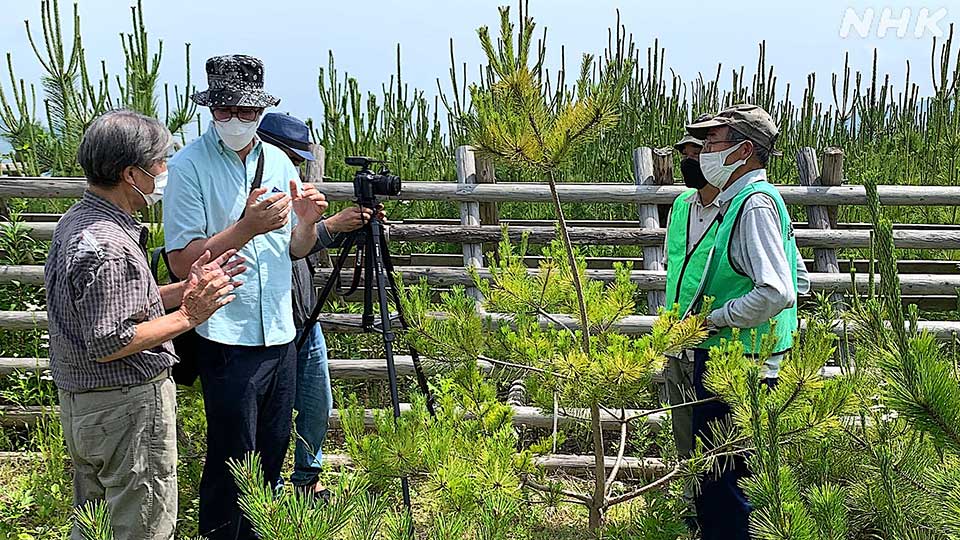 Mohammed Al-Masri (kedua dari kiri) saat memproduksi film dokumenter yang menampilkan para penyintas tsunami Jepang 2011 tengah membudidayakan bibit pinus.