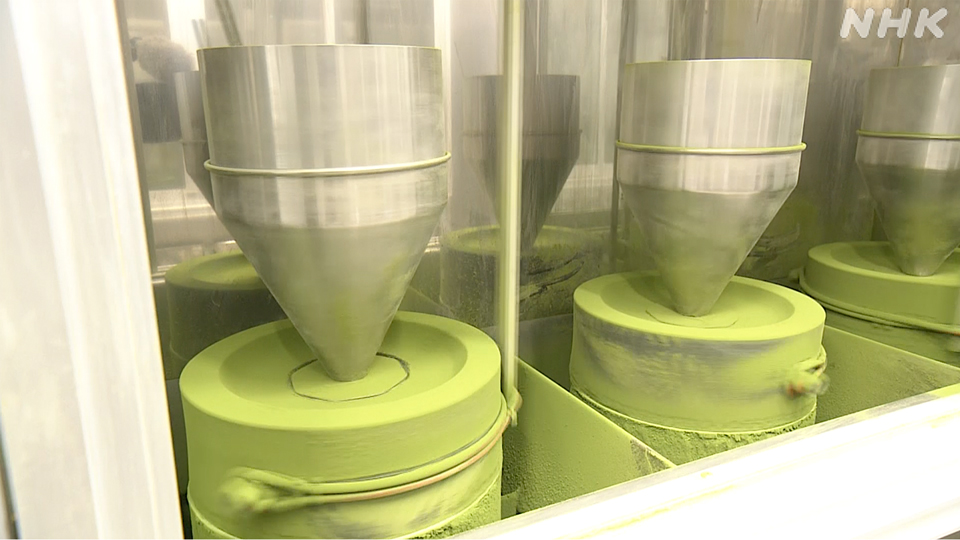 Proses penggilingan daun teh menjadi bubuk matcha.