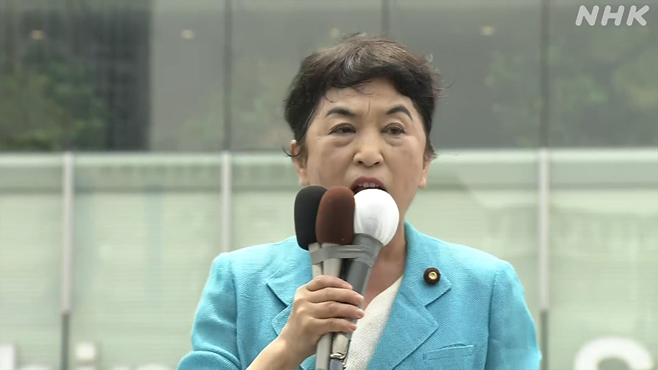 Janji Kampanye Pemimpin Partai Jepang dalam Pemilu Majelis Tinggi 2025 - visual artikel