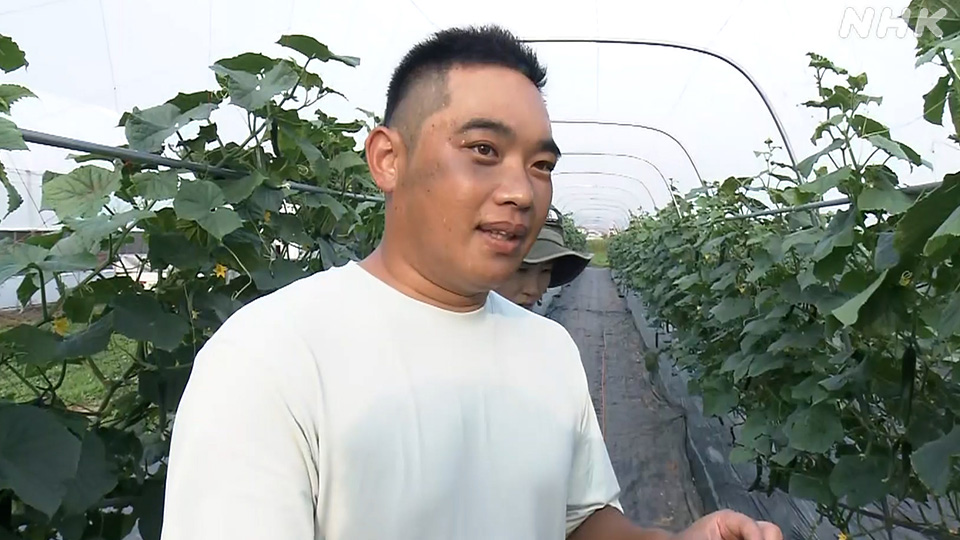 Sato Takuya / Petani