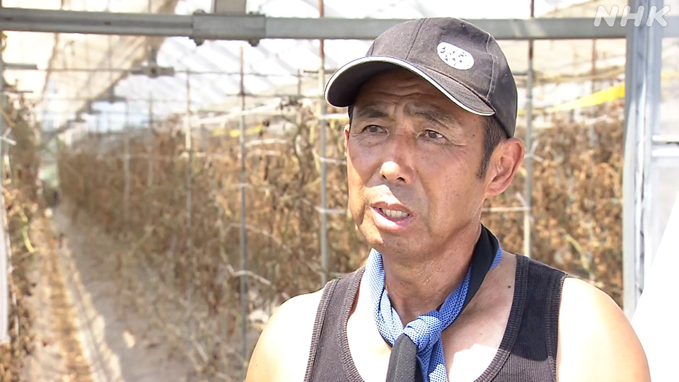 Yamamoto Katsuki, sang petani