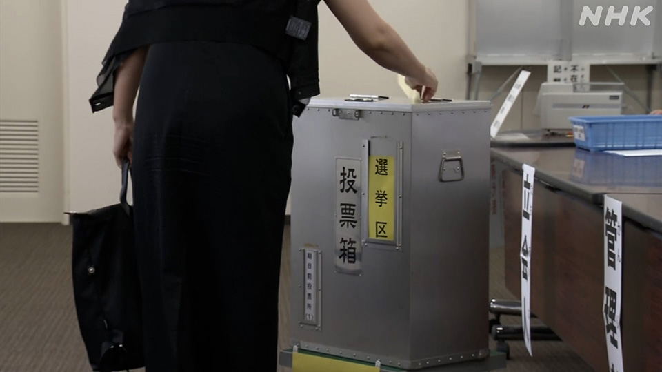 Memahami Cara Kerja Pemilihan Majelis Tinggi di Jepang - visual artikel