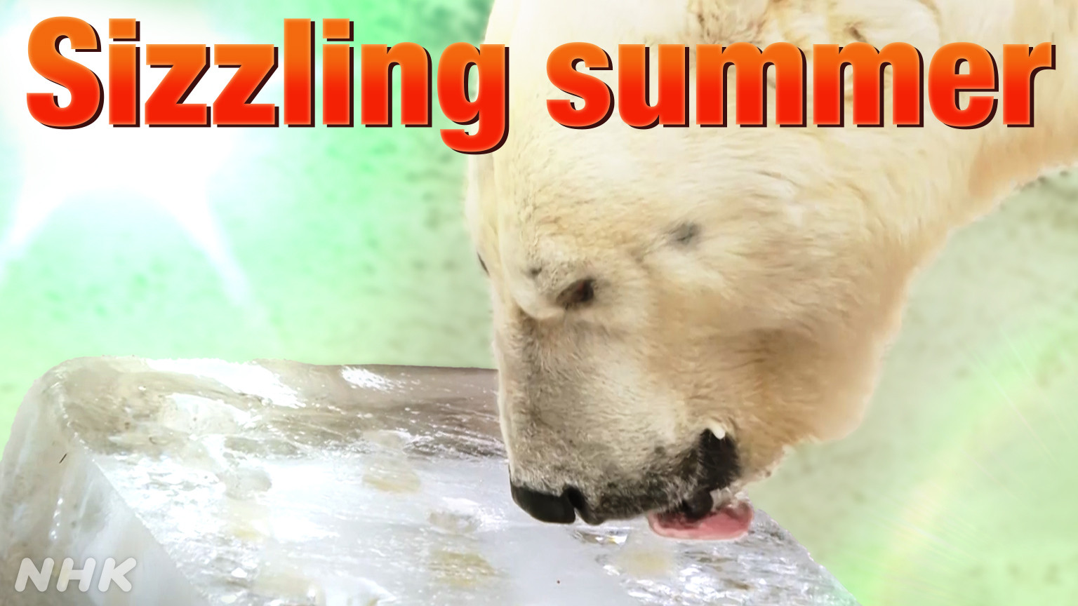 Jepang Dilanda Suhu Panas Ekstrem, Beberapa Wilayah Terancam Tembus 40 Derajat