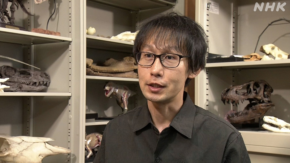 Kawabe Soichiro, profesor di Fakultas Paleontologi Dinosaurus, Universitas Prefektur Fukui
