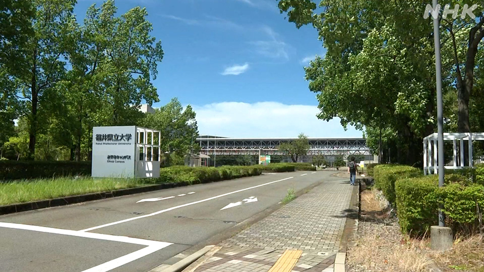 Universitas Prefektur Fukui