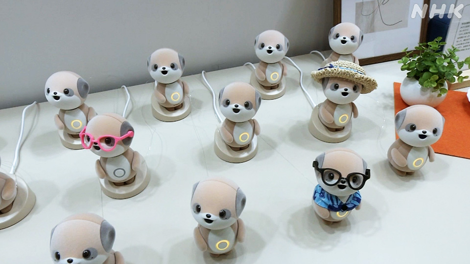 Dengan tinggi 12 sentimeter dan berat 200 gram, robot interaktif yang terinspirasi dari meerkat ini dirancang agar mudah dibawa ke mana saja.