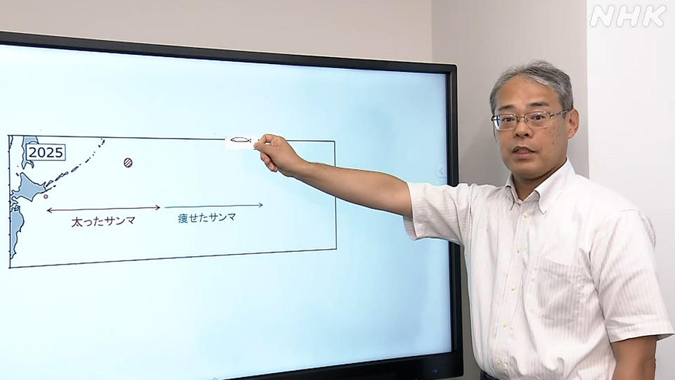 Watanabe Kazuyoshi menduga suhu laut sebagai penyebabnya.