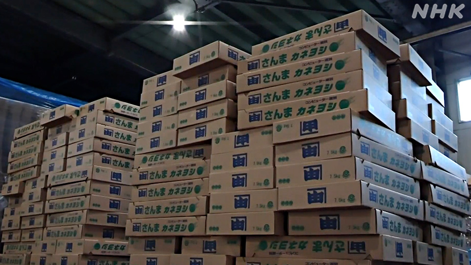 Penggunaan kotak kardus alih-alih peti kayu untuk menyiasati situasi darurat tersebut.