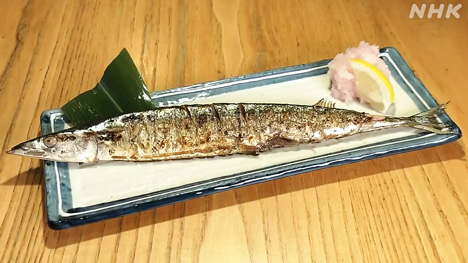 Panen Raya Ikan Sanma di Pelabuhan Hanasaki Hadapi Tantangan Tak Terduga - visual artikel