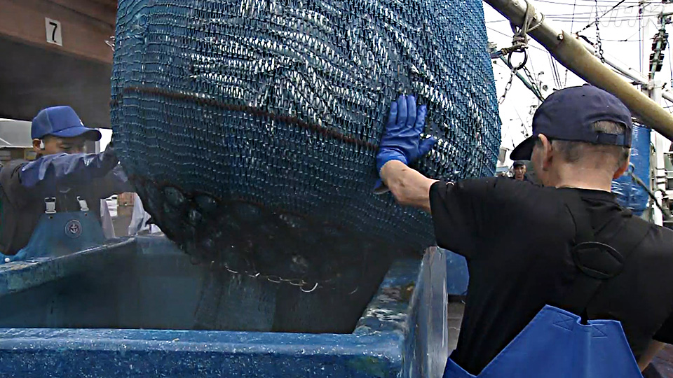 Pelabuhan Choshi pun ikut sibuk!