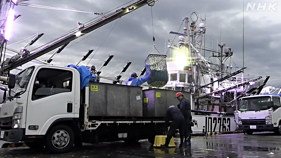 Koperasi perikanan mulai kekurangan pasokan logistik yang dibutuhkan untuk proses pengiriman.