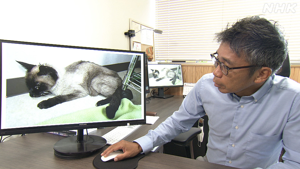 Profesor Universitas Miyazaki Okabayashi Tamaki menekankan pentingnya pengamatan cermat untuk mendeteksi apakah hewan peliharaan terinfeksi SFTS.