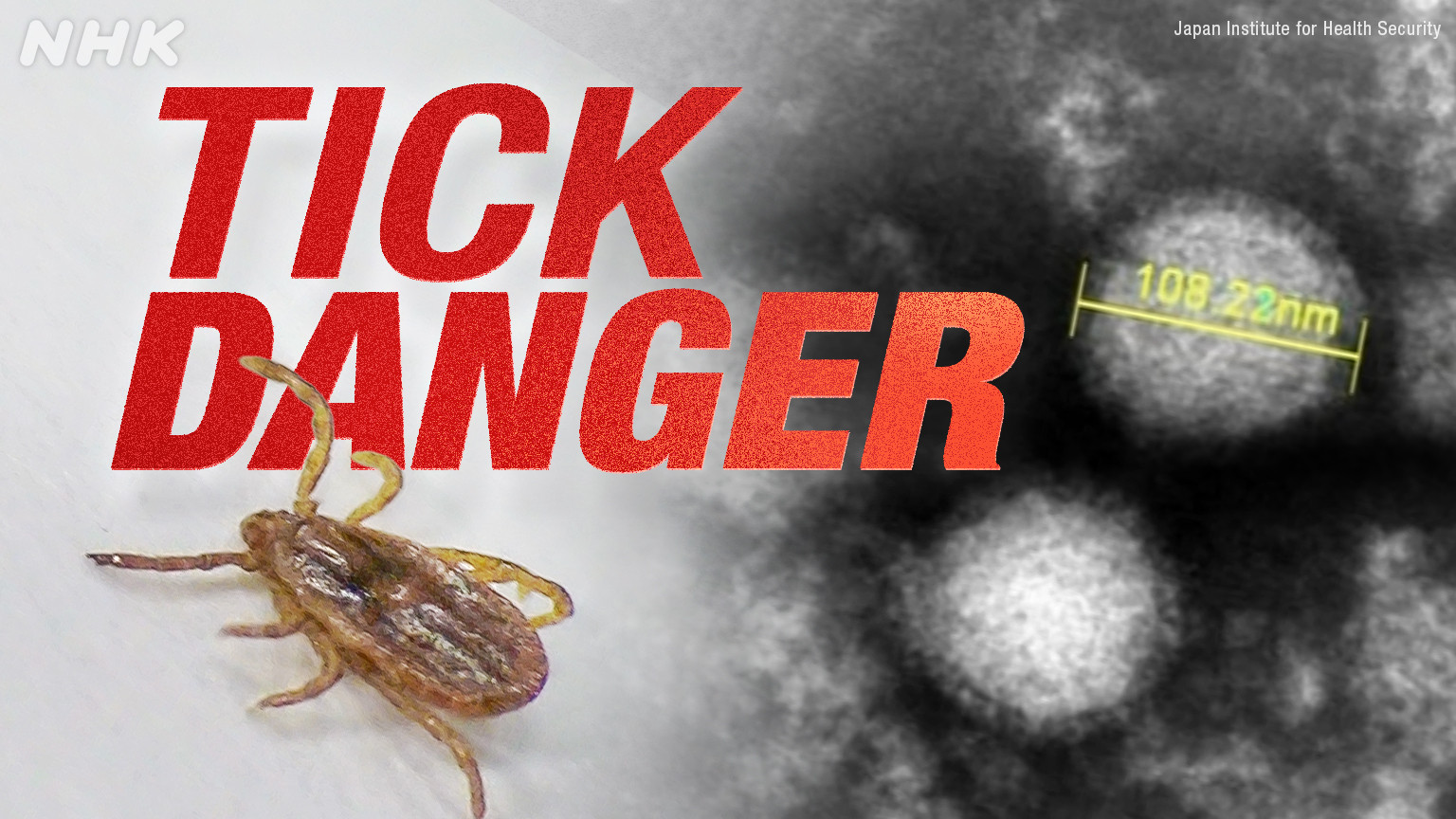 Waspada SFTS, Penyakit Mematikan dari Gigitan Kutu di Jepang Capai Rekor Kasus