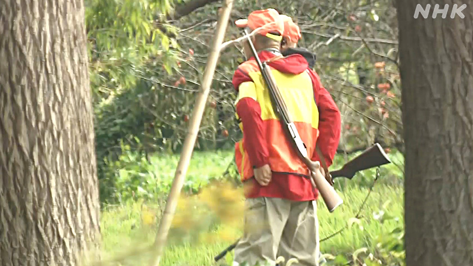 Seorang pemburu di Prefektur Toyama, Jepang bagian tengah, menangani seekor beruang pada hari Rabu, tidak jauh dari kawasan permukiman.