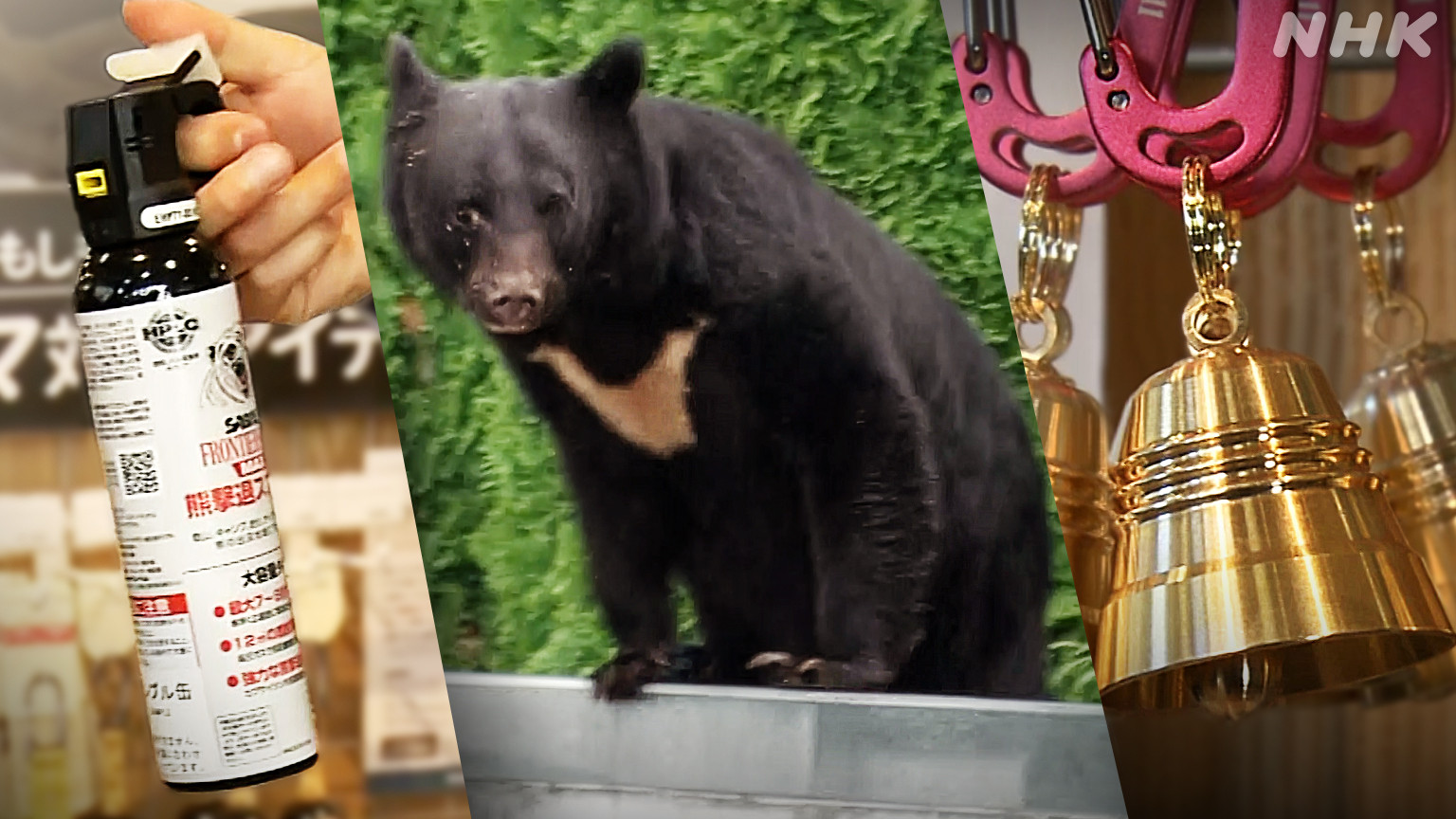 Ancaman Beruang Membayangi Wisata Musim Gugur di Jepang