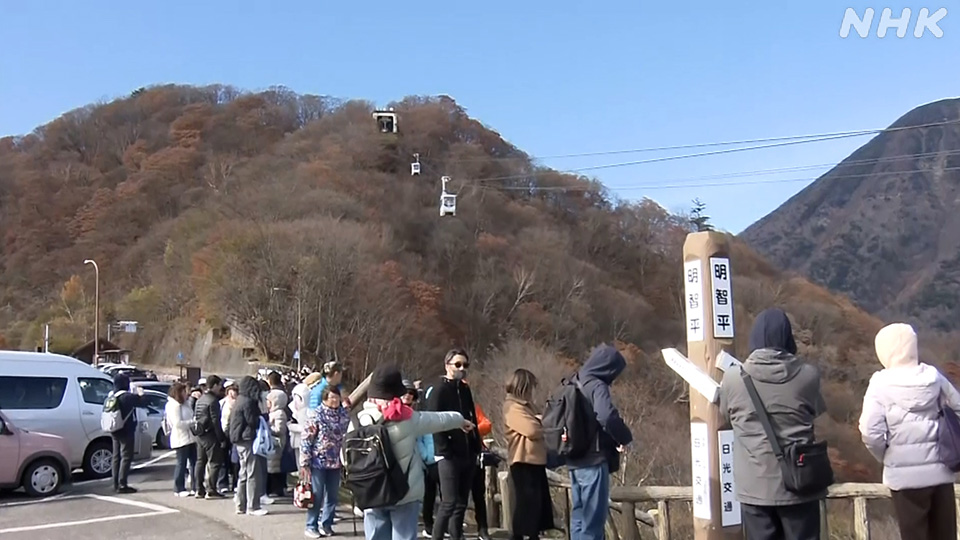 Ancaman Beruang Membayangi Wisata Musim Gugur di Jepang - visual artikel