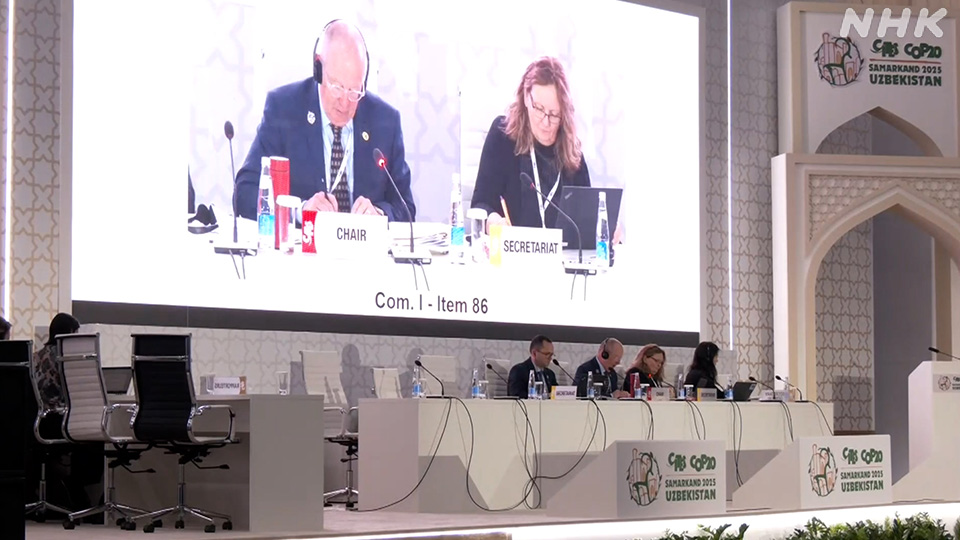 Konferensi CITES di Samarkand, Uzbekistan.