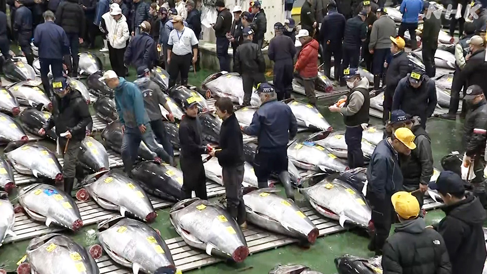 Pasar grosir hasil laut Toyosu di Tokyo