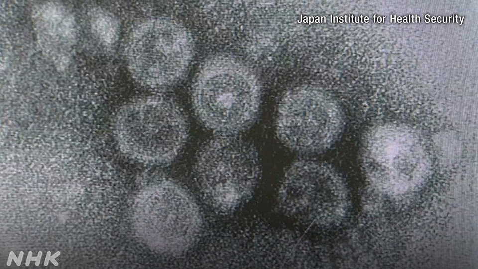 Jepang Sukses Menghapus Penularan Endemik Rubella - visual artikel