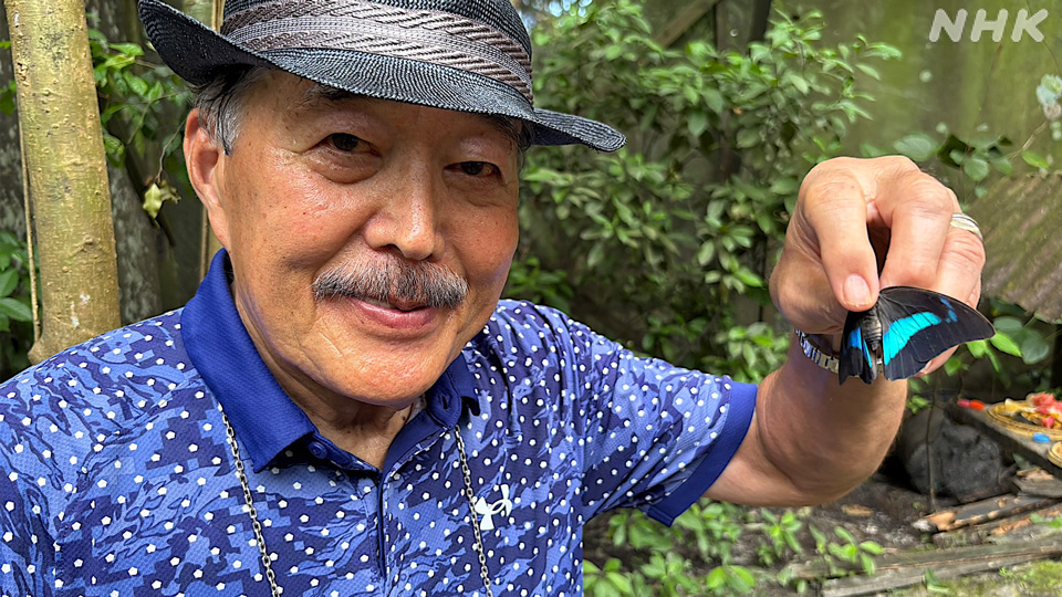 Shiraishi Yuji, penggemar kupu-kupu