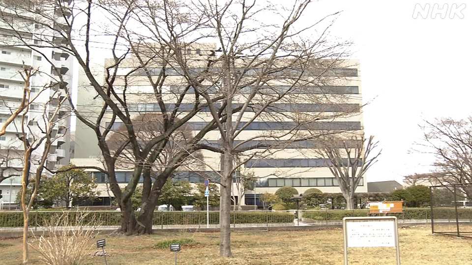 Pohon sakura patokan muda yang baru di Kota Sendai.