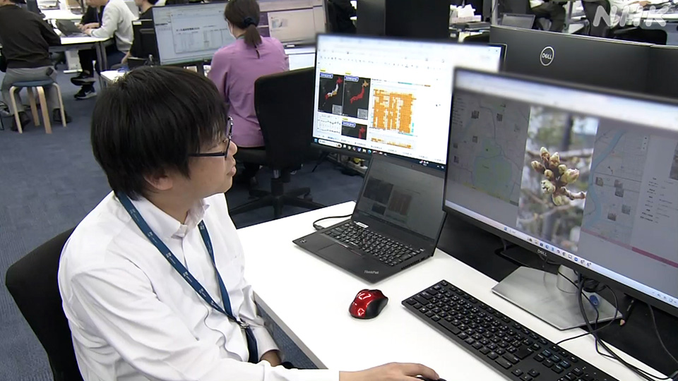 Seorang pejabat Weathernews mengatakan mereka sudah menerima 80.000 foto tahun ini.