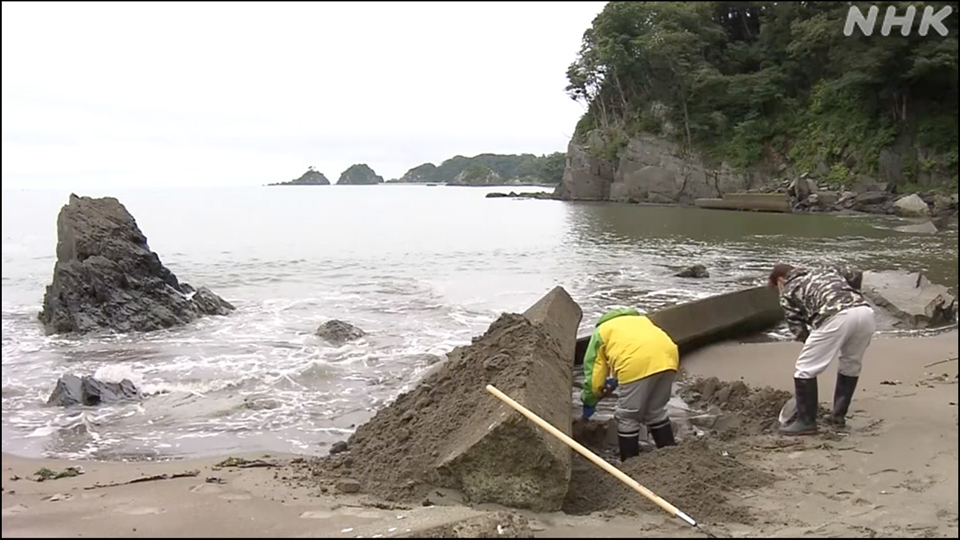 Miho dan Yoshiaki menyisir pantai di Ishinomaki dengan sekop untuk mencari Hana pada 2022.