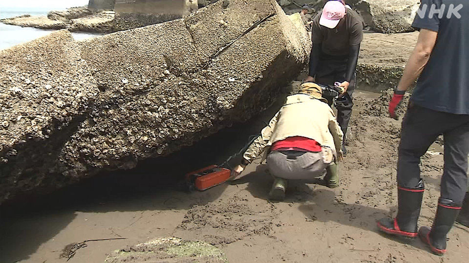 Seorang ahli radar penembus tanah bersama para sukarelawan turut mencari Hana, menyisir area di bawah jalan yang runtuh.