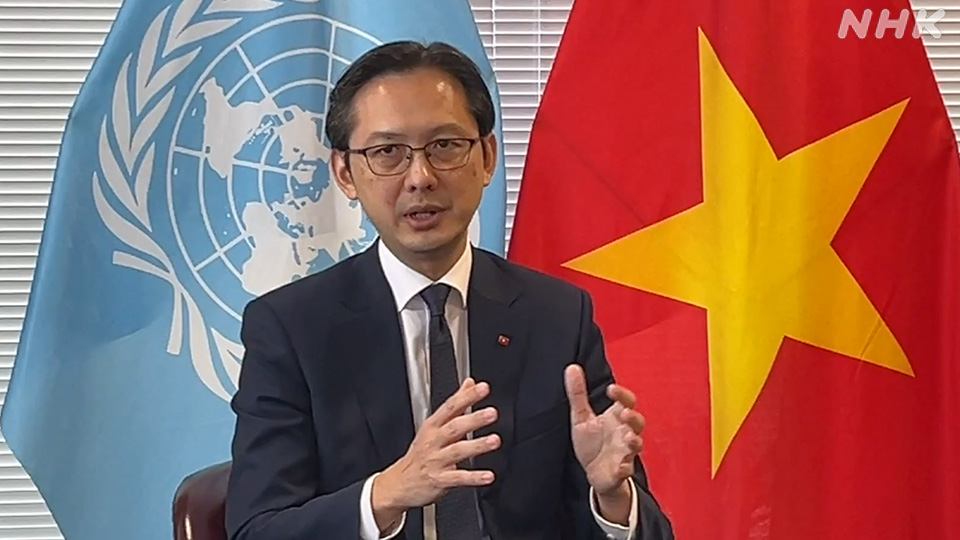 Do Hung Viet, Duta Besar Vietnam untuk PBB, saat memimpin konferensi NPT.
