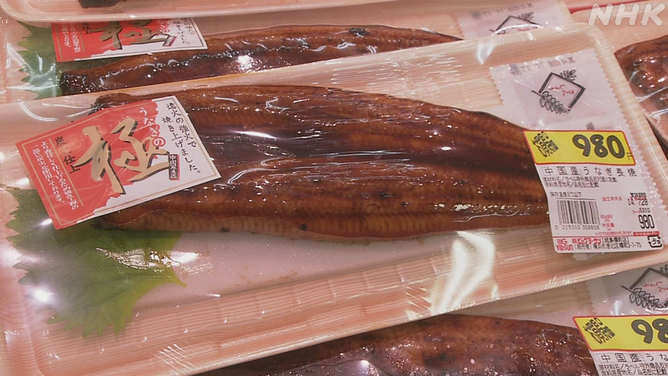Belut impor sering dijumpai di berbagai supermarket di Jepang.