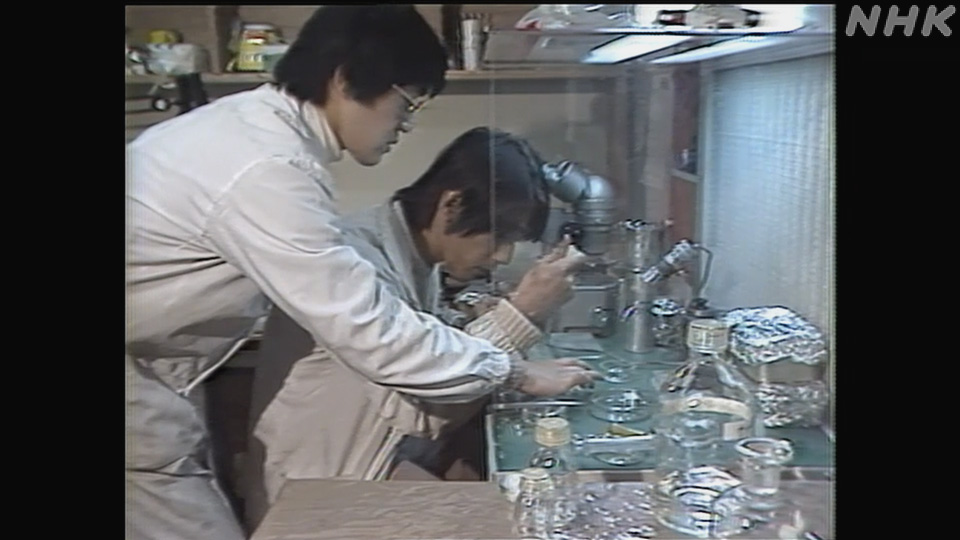 Telur sidat pertama kali menetas di laboratorium pada 1973 di Universitas Hokkaido.