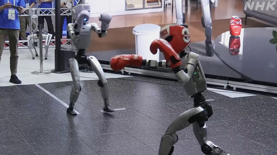 Robot buatan China menunjukkan kemampuan bertinju di pameran Robot Technology Japan.