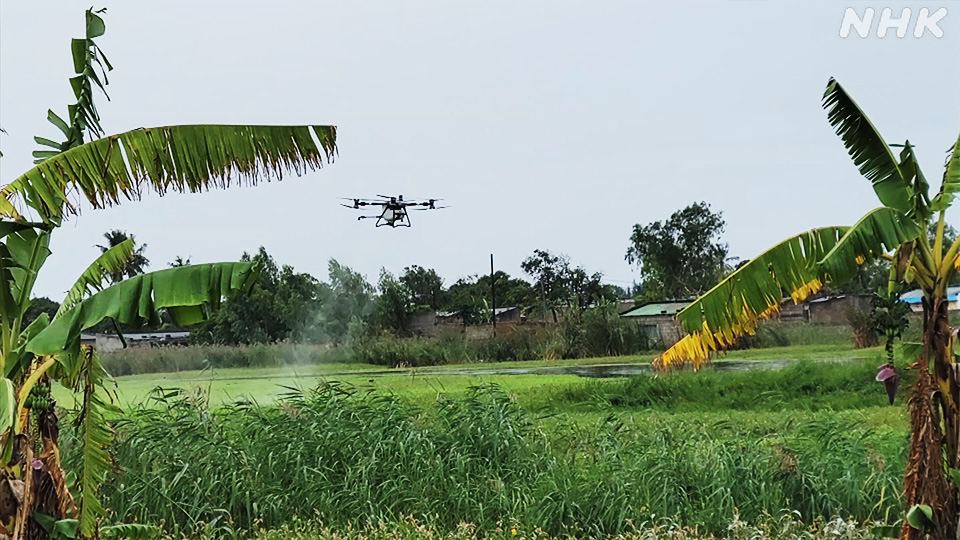 Drone Sora Technology menyemprotkan pestisida di Mozambik di awal tahun ini.