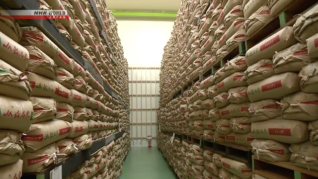 Pemerintah Jepang Setujui Draf Revisi Undang-Undang Pangan untuk Menjaga Pasokan Beras