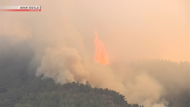 Kondisi kebakaran hutan yang meluas di kawasan pegunungan Prefektur Iwate, Jepang.