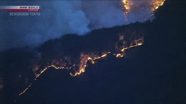 Kebakaran Hutan di Iwate Jepang Meluas, 2.500 Warga Otsuchi Dievakuasi