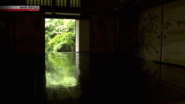 Keindahan Daun Maple Hijau Terpantul di Lantai Hitam Kuil Kyoto